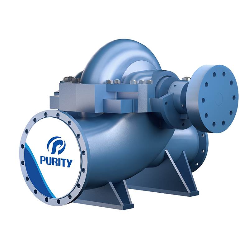 Purity Horizontal Double Suction Centrifugal Pumps Price